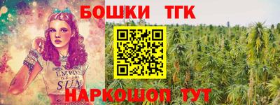 a pvp Новозыбков