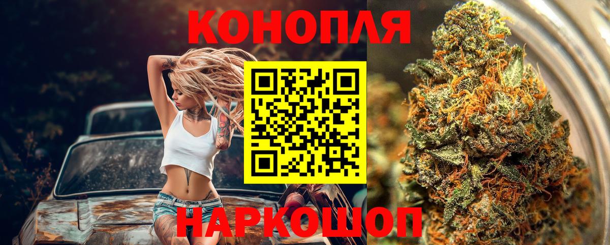 Канабис сатива Печора